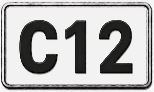 Caterpillar - C12