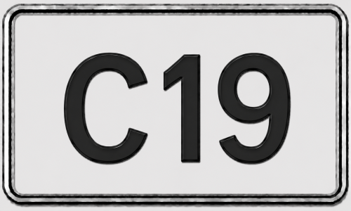 Caterpillar - C19