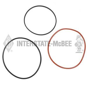 Interstate-McBee Kit - Liner Seal - M-RE539558