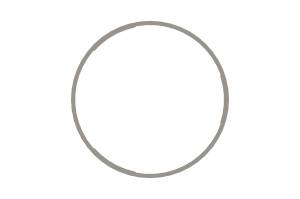 Interstate-McBee Shim - Liner - 0 .020 - M-3054948