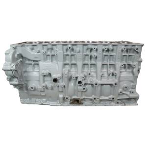 CYLINDER BLOCK (REMAN) 660090EX