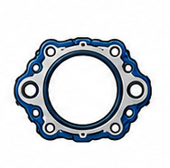 C Series - C18 - Gaskets and Seals