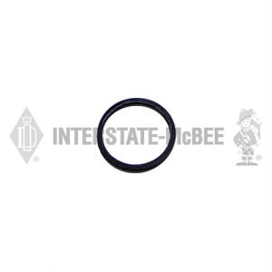 Interstate-McBee Ring - Back Up - Injector Group - M-1698586